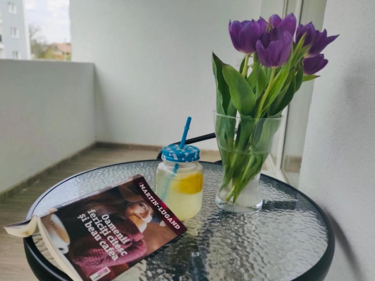 Roxi'S Apartment Σίμπιου Εξωτερικό φωτογραφία